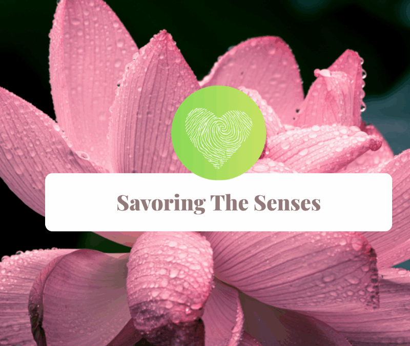 Savoring Your Senses