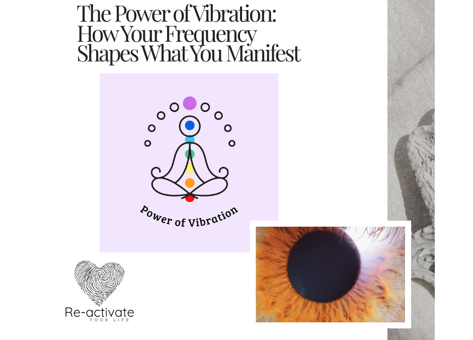 The Power of Vibration: How Your Frequency Shapes What You Manifest